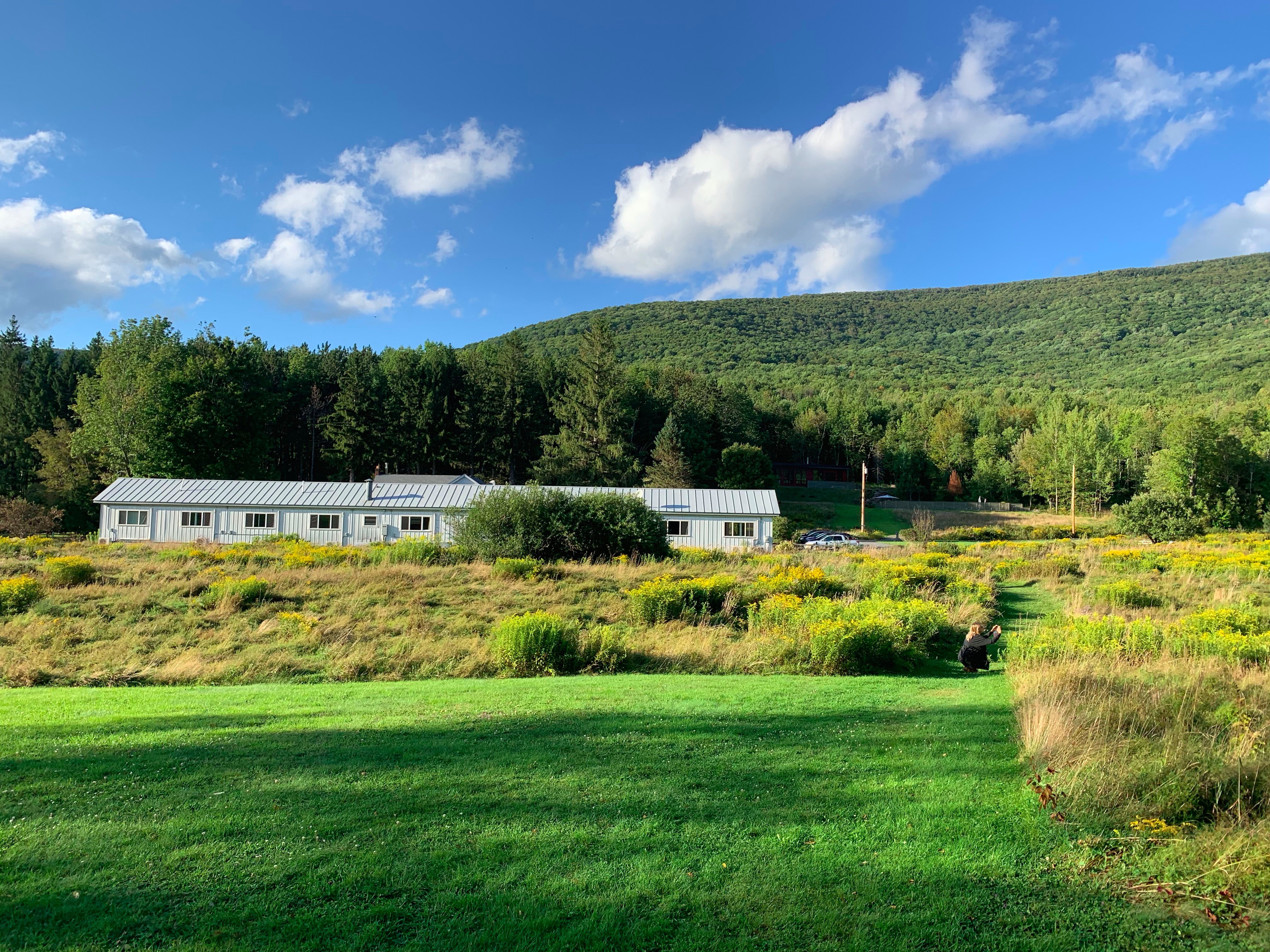 Spruceton Inn - a Catskills Bed and Bar-浴室