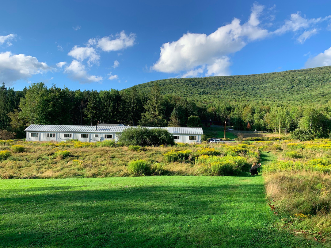 Spruceton Inn - a Catskills Bed and Bar主图
