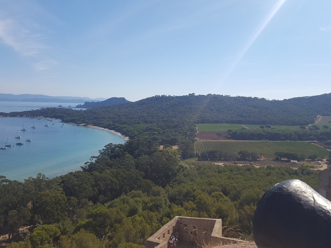 Domaine La Courtade景点图片