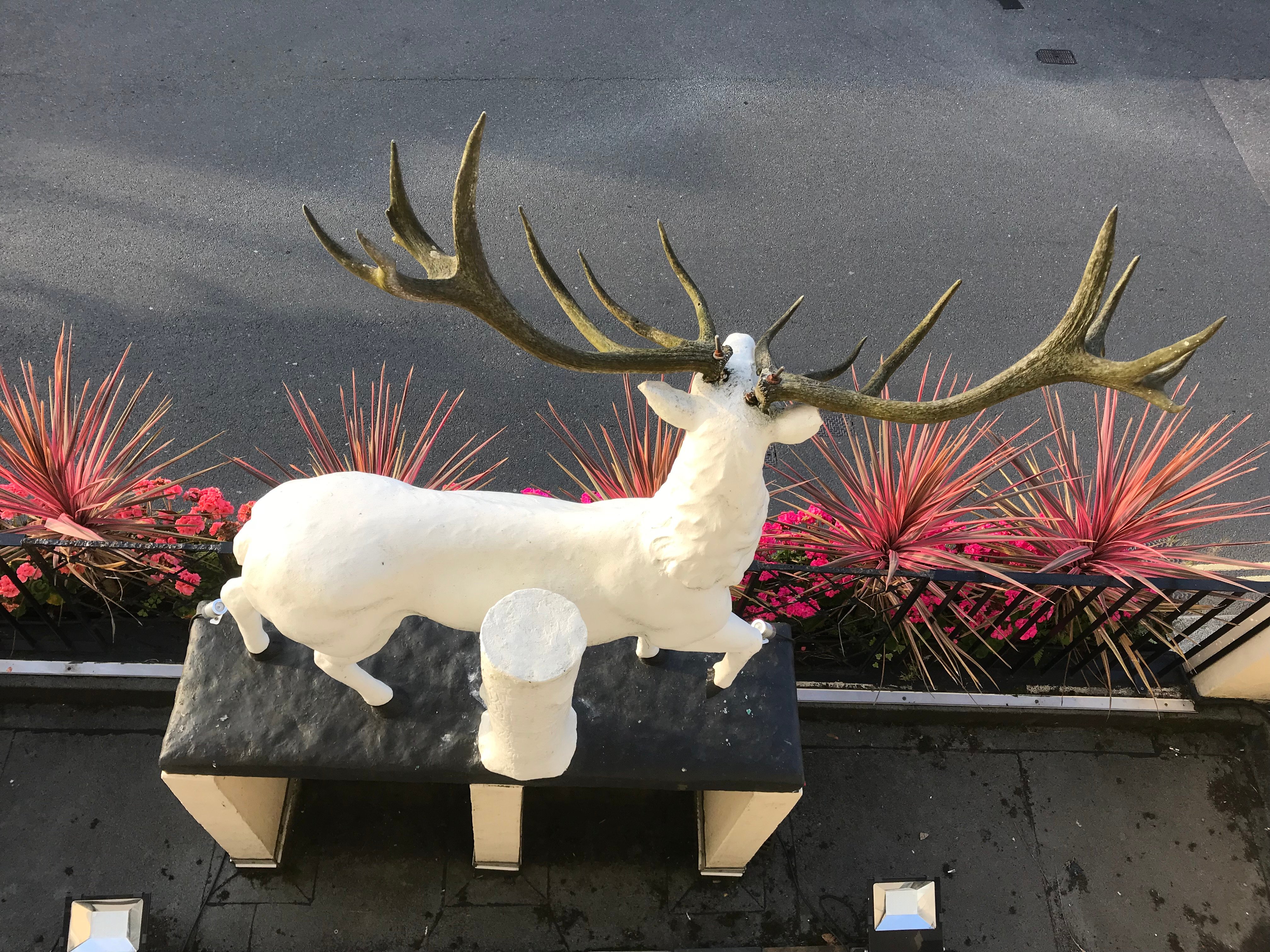 The White Hart Hotel-酒店景观