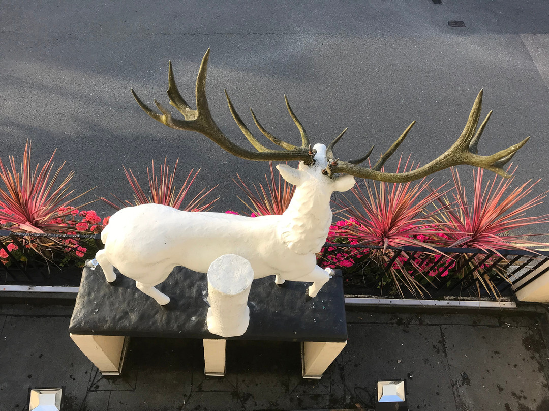 The White Hart Hotel主图