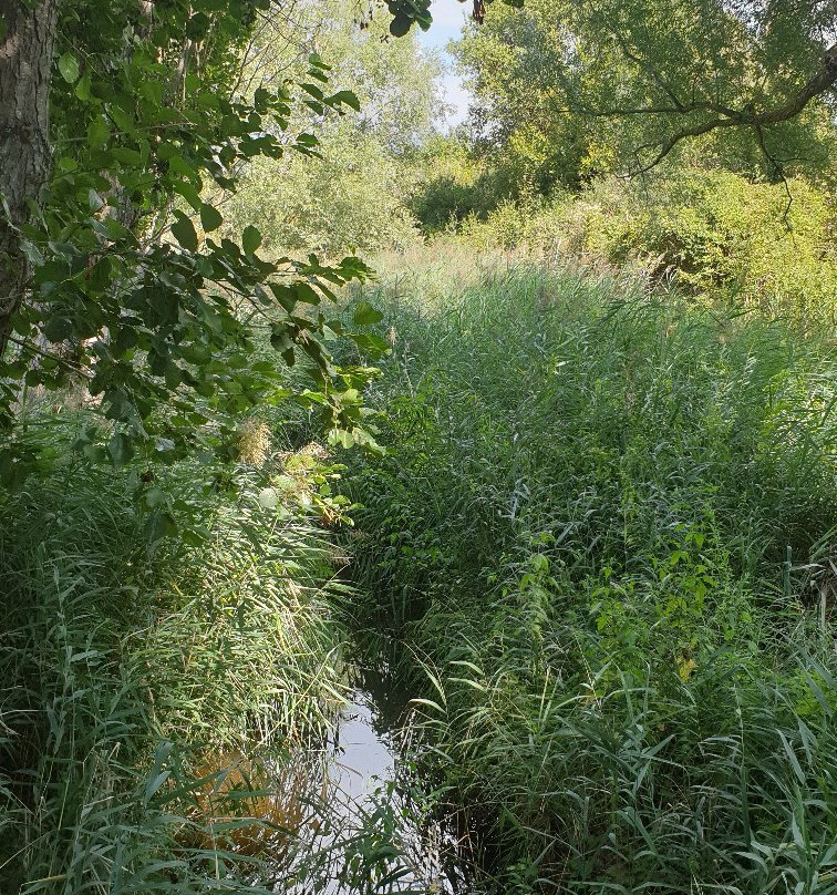 Moulin d'Antelon主图