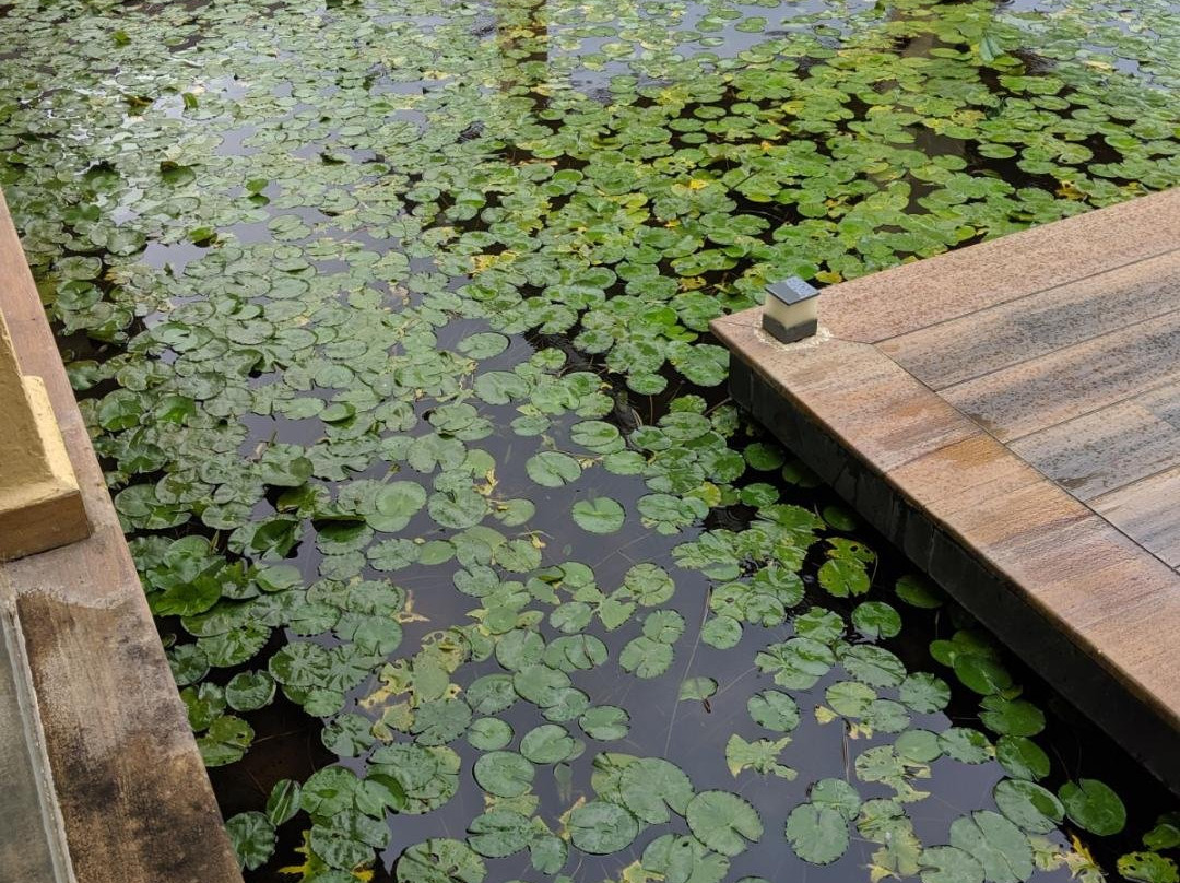 Tropical Retreat By Zuper主图