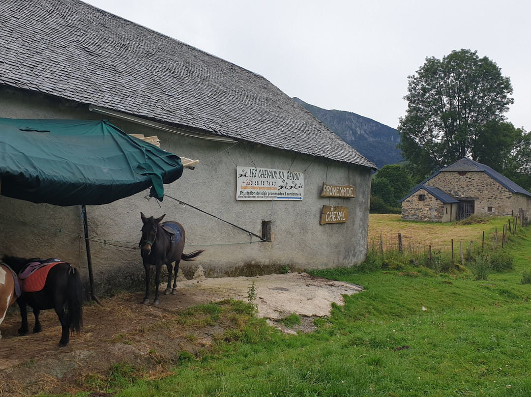 Les Chevaux Du Benou
