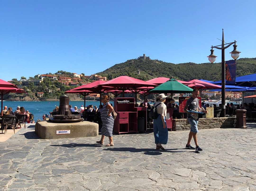 Tourist Office of Collioure景点图片