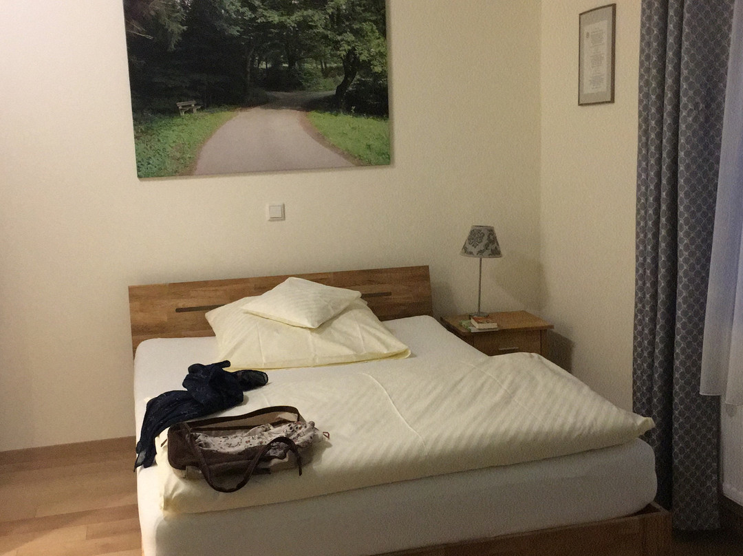 Hotel Gasthof Rose主图