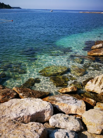 Katarina Island-罗维尼必去景点