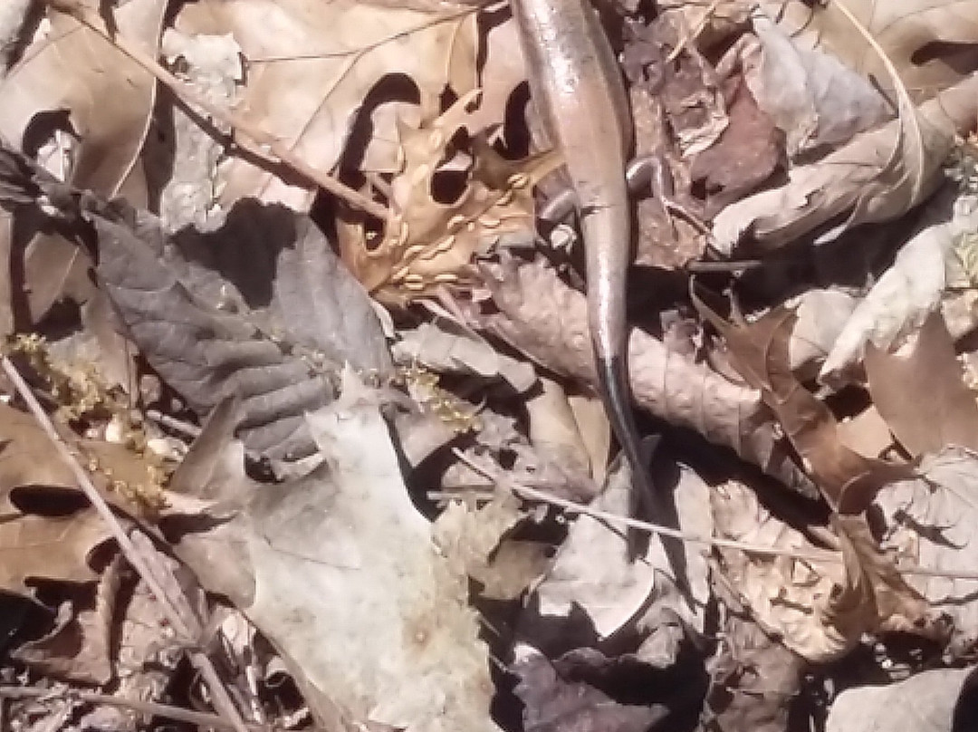 Elk City State Park-Independence必去景点