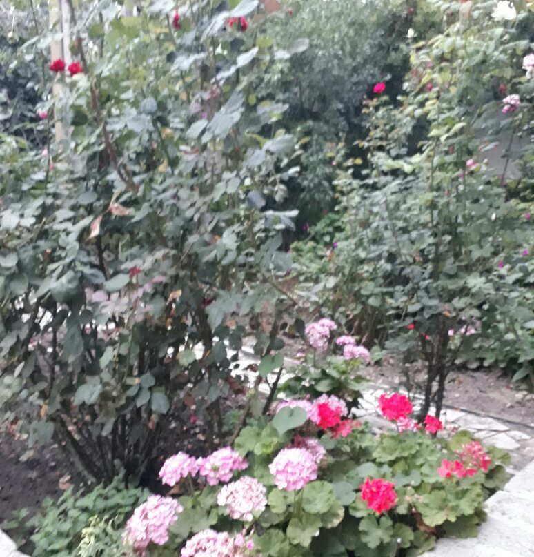 Raffo & Karine Guesthouse主图