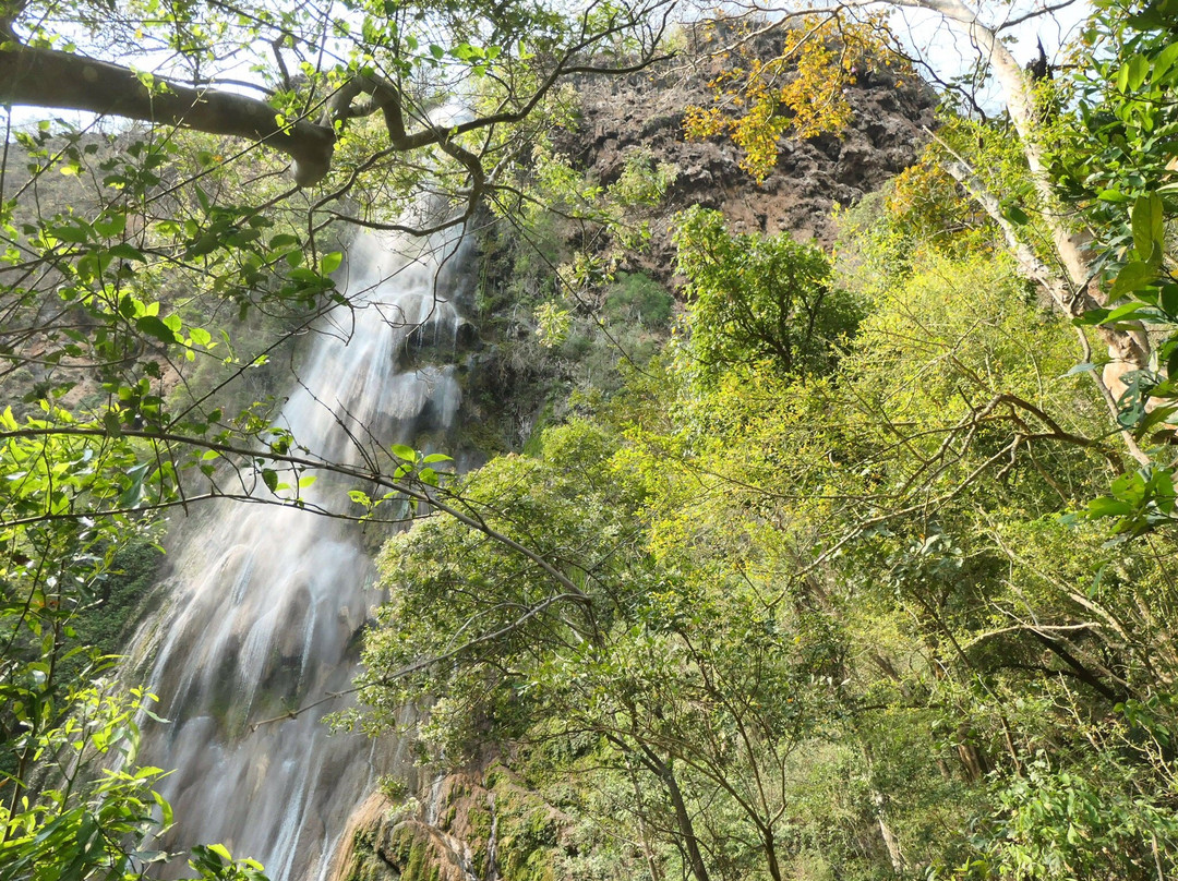 Parque Nacional da Serra da Bodoquena景点图片