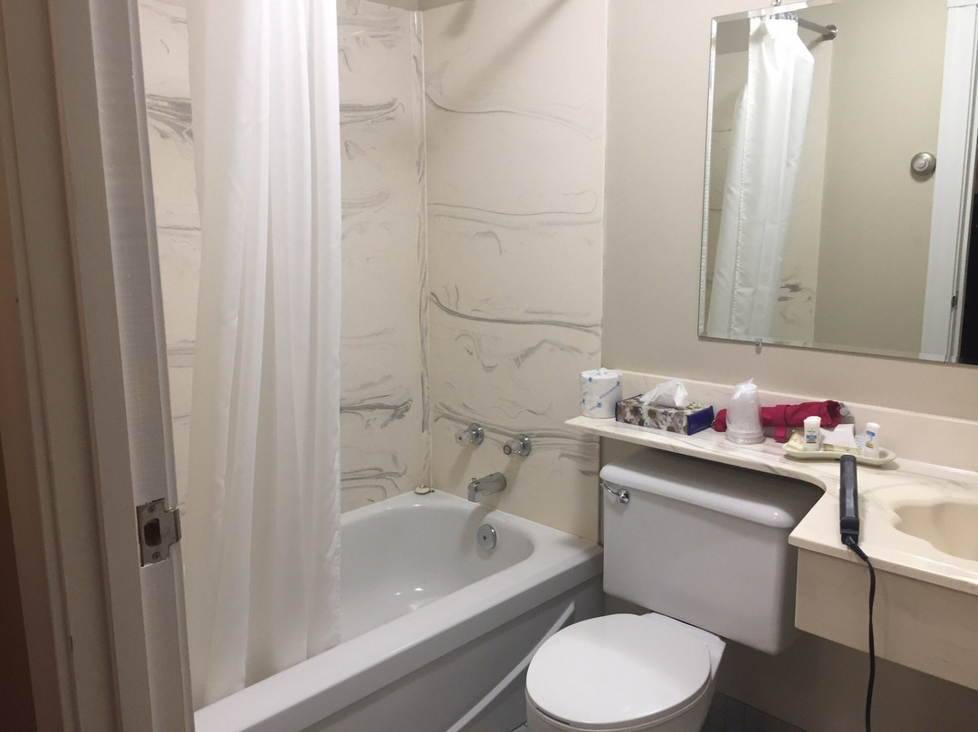 The Wilds at Salmonier River Hotel Rooms & Suites主图