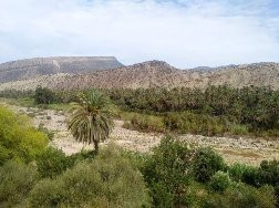 Riad de l'Olivier主图