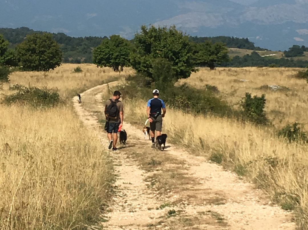 Agriturismo Pietrantica主图