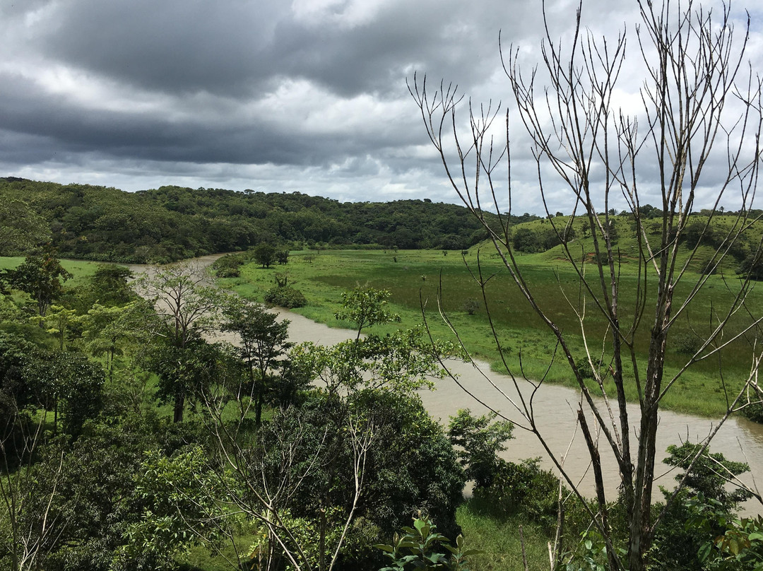 Tropical Organic Farm-Nuevo Chagres必去景点
