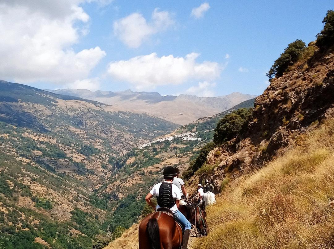 Riding Andalucia景点图片