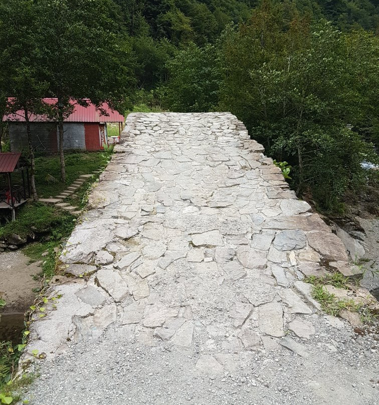National Park Kintrishi-Kobuleti必去景点