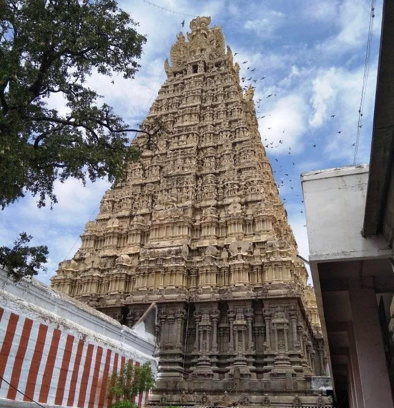 Sankara Narayana Swamy Temple景点图片
