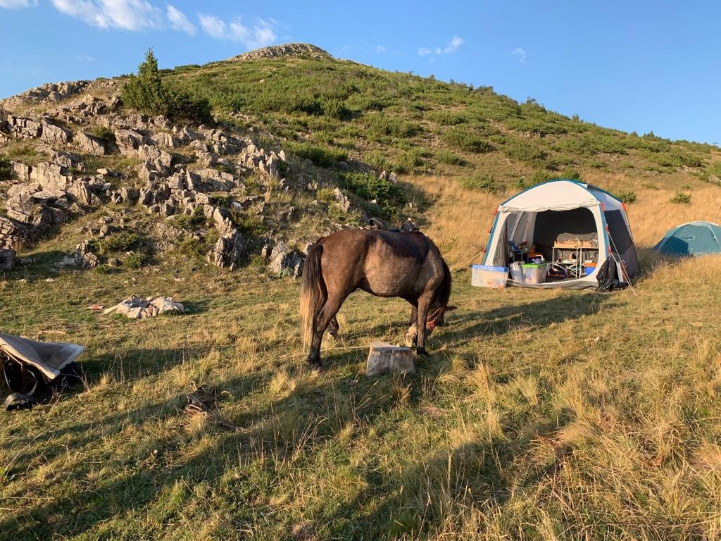 Sherpa Horse Riding-Galicnik必去景点