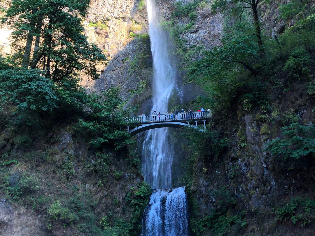 Historic Columbia River Highway State Trail景点图片