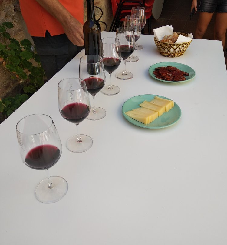 Bodega Valdigal-Toro必去景点