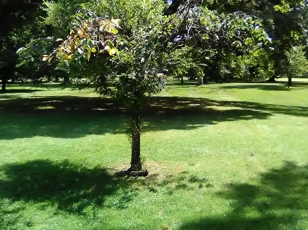 Franklin D. Roosevelt Presidential Library and Museum-海德公园必去景点