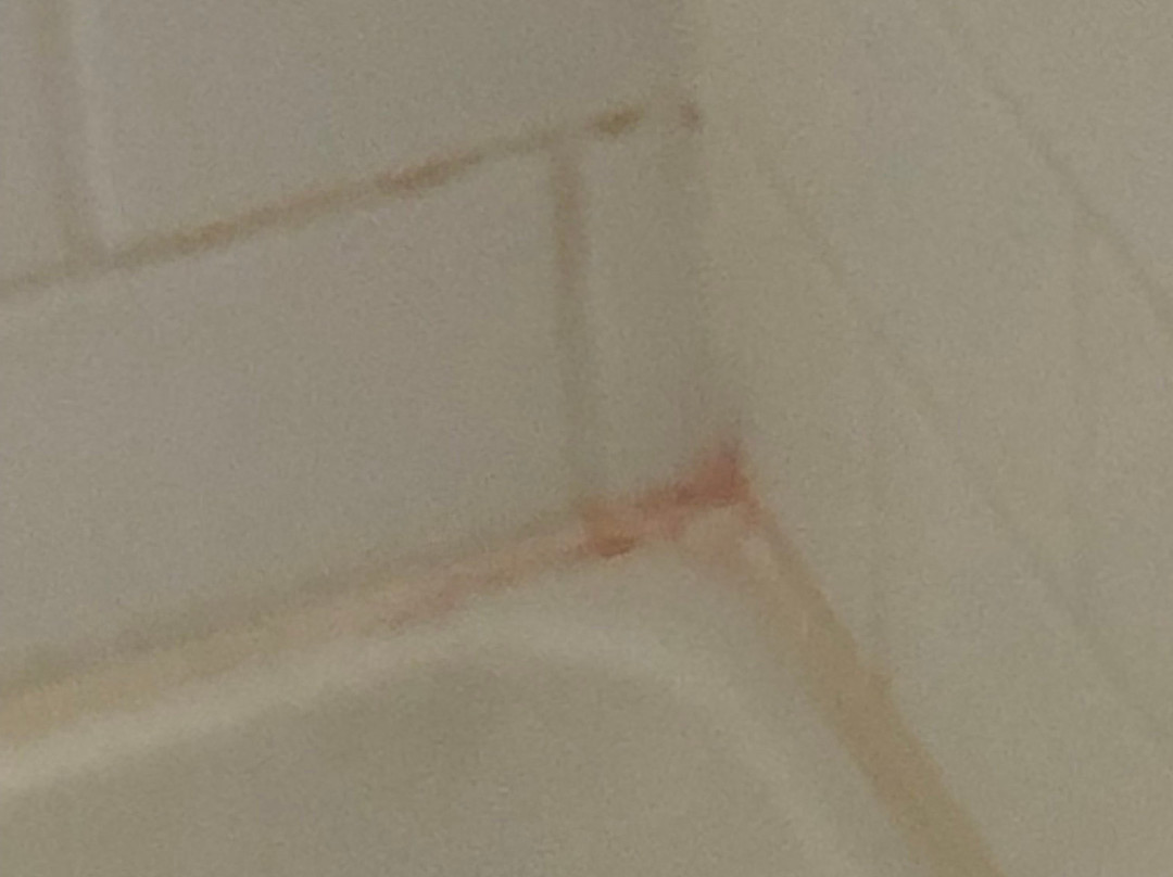 Fairfield by Marriott Inn & Suites Ottawa Starved Rock Area主图