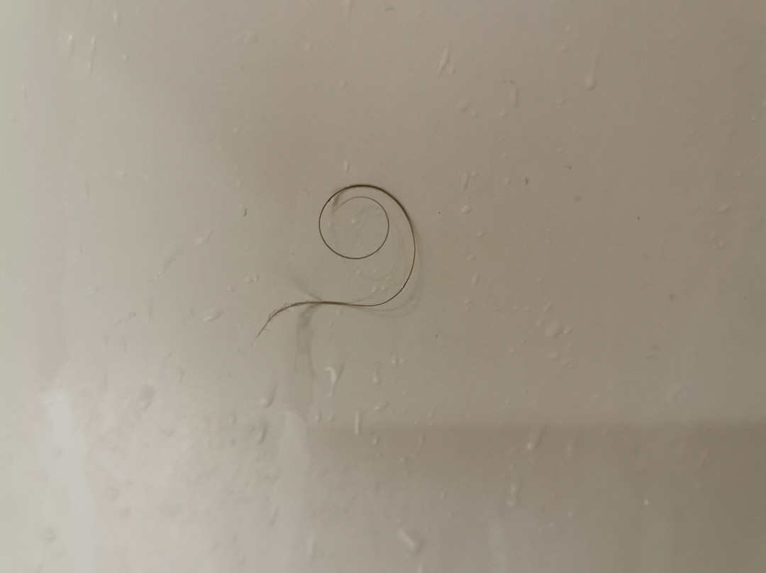 Première Classe Poitiers Futuroscope – Chasseneuil主图