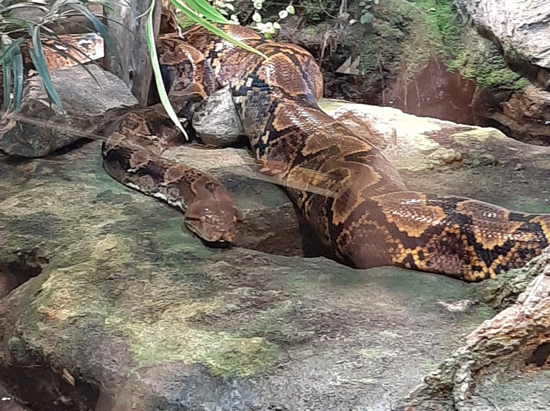 Tropicarium-Kolmarden必去景点