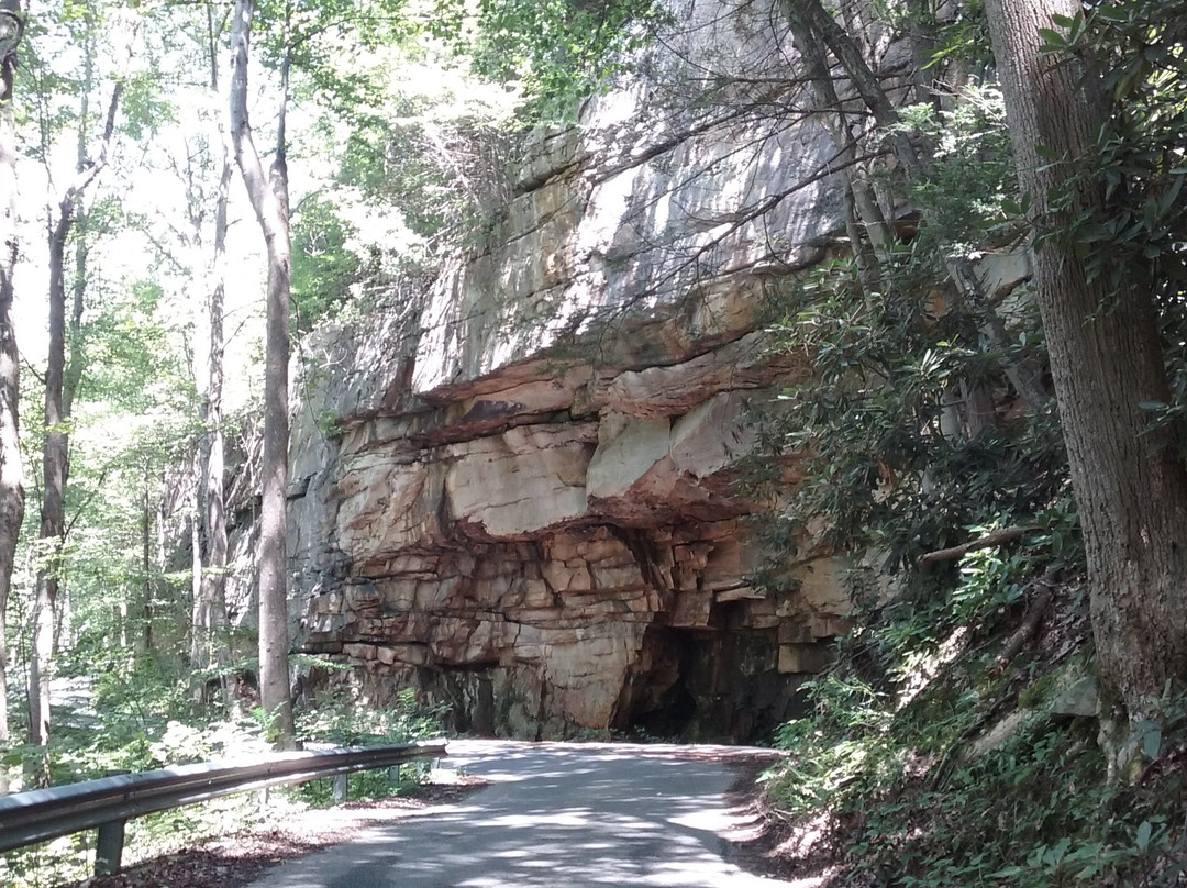 Hawks Nest Lodge主图