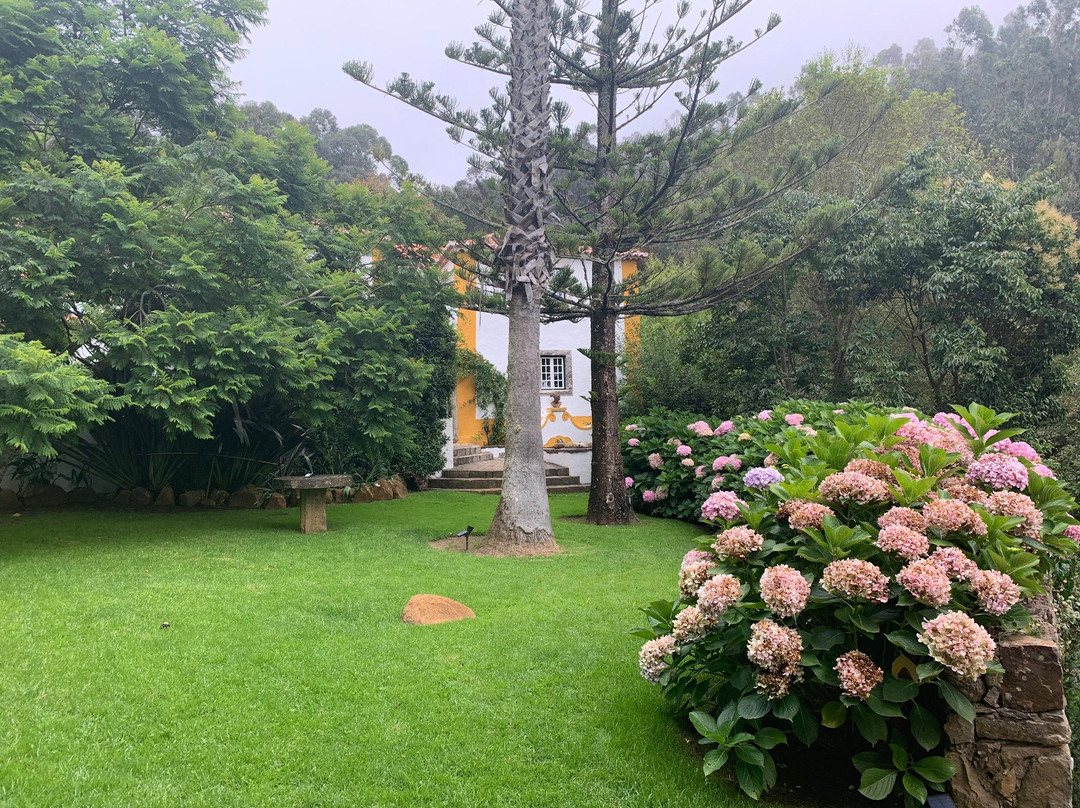 Quinta do Rio Touro主图