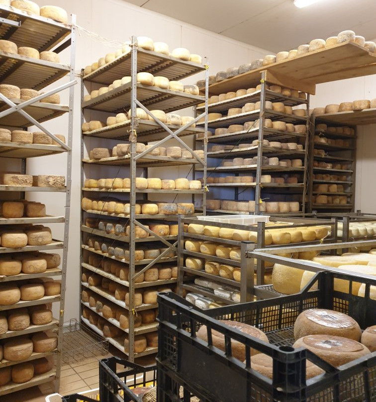 Podere Paterno景点图片