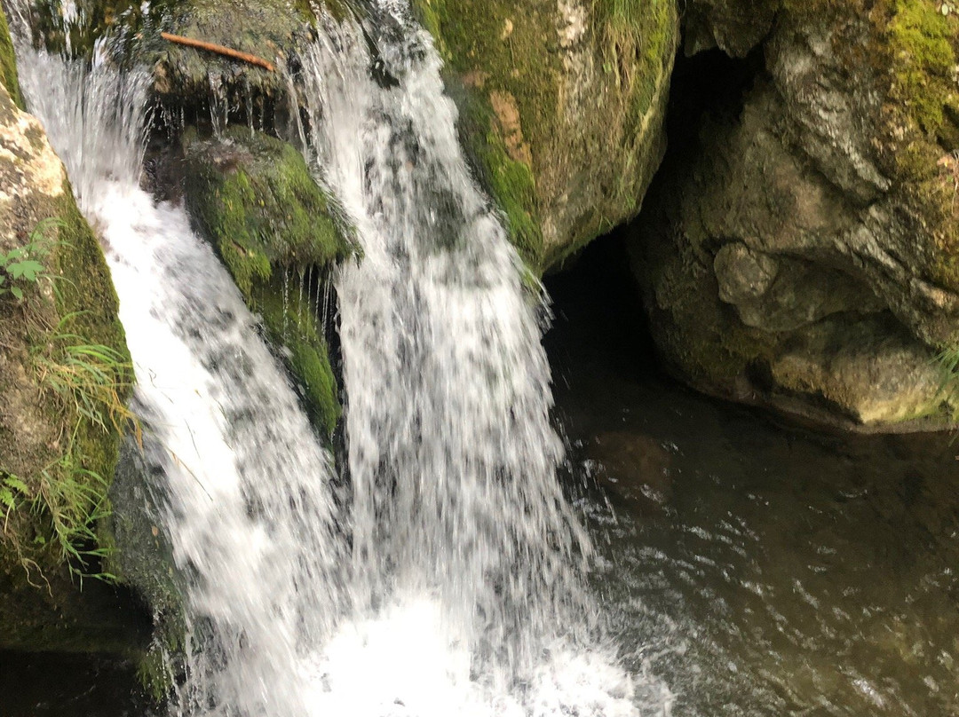 Myra Falls-Muggendorf必去景点