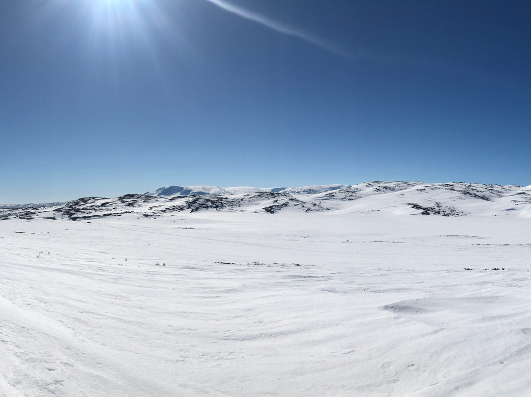 Hallingskarvet Skisenter Sudndalen-Hovet必去景点