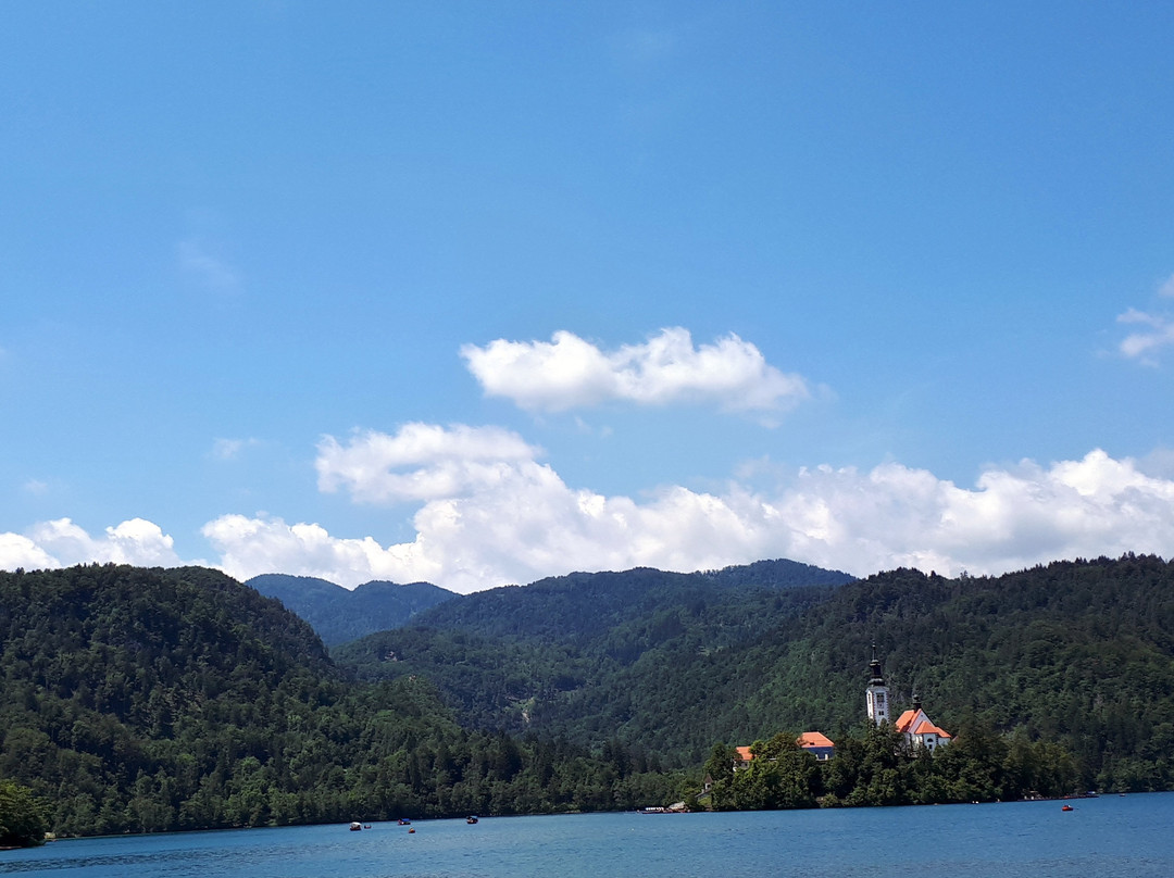 Lake Bohinj景点图片