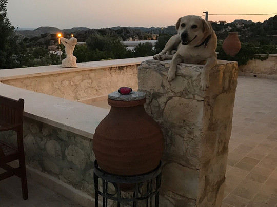 Likya Yolu Palas主图