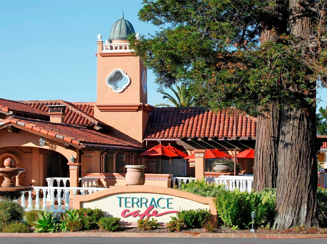 密尔布瑞餐馆和美食-Terrace Cafe