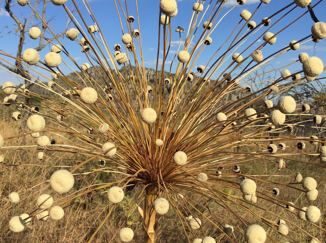 Parque Estadual da Serra dos Pireneus-Pirenopolis必去景点