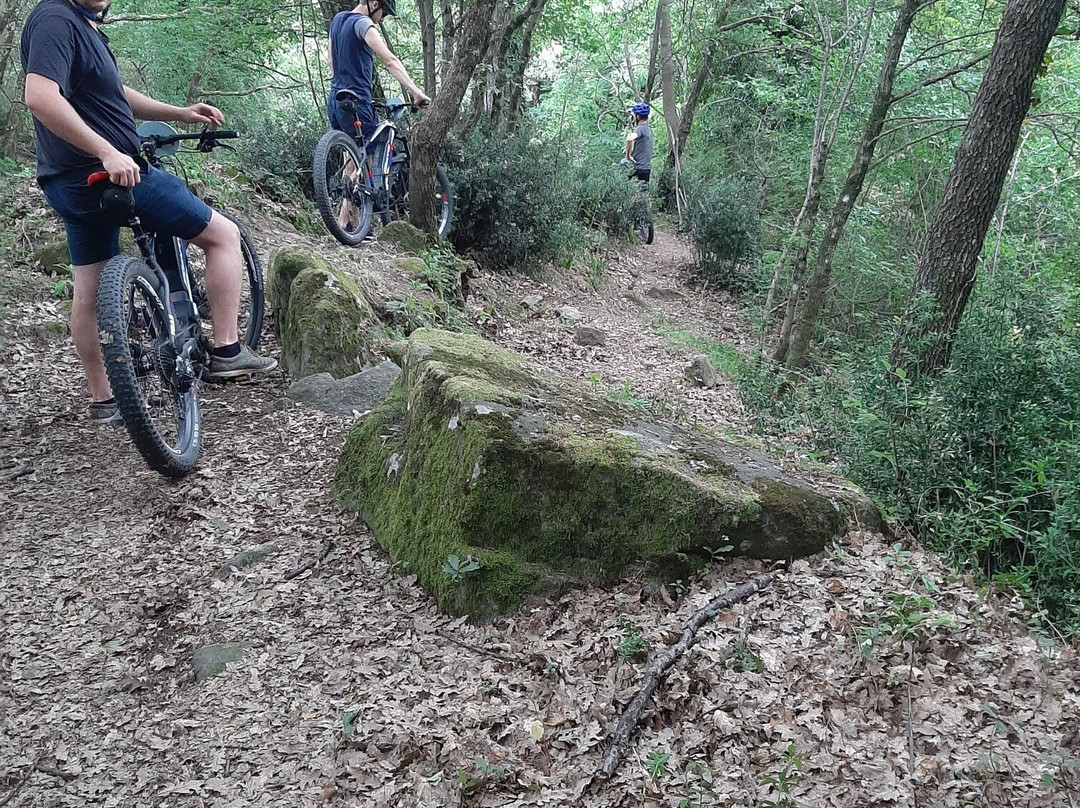 Fiesole Go