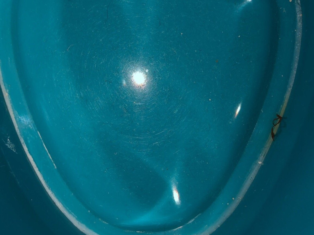 Le Saint Pierre主图