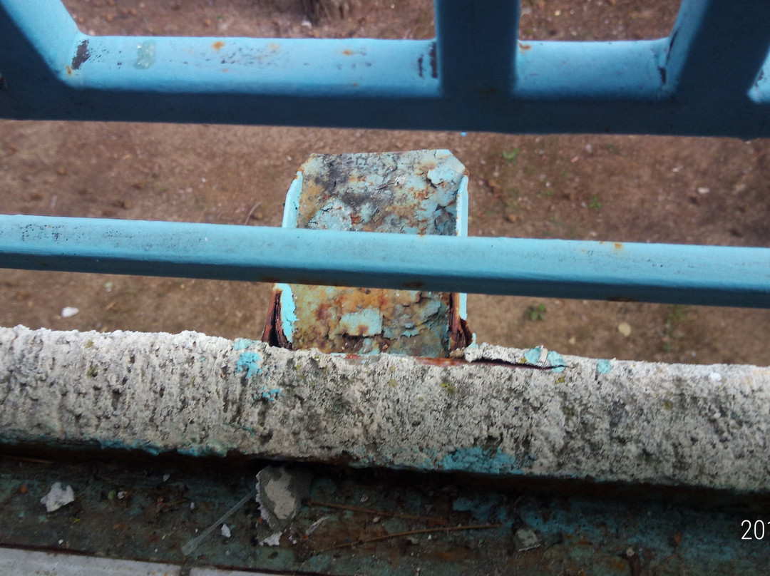 Hotel Orchidea主图