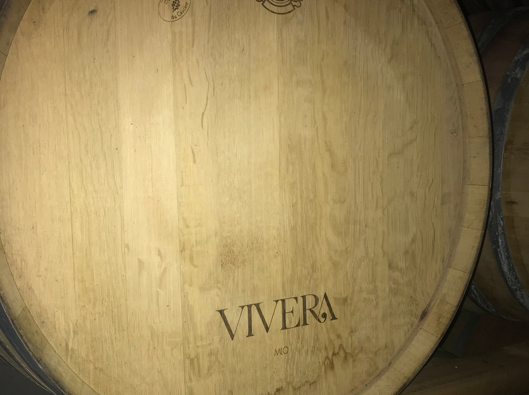 VIVERA Etna Winery-林瓜格洛萨必去景点