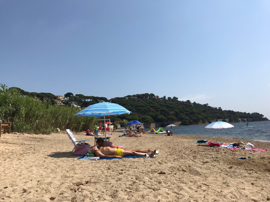 Plage de la Madrague景点图片