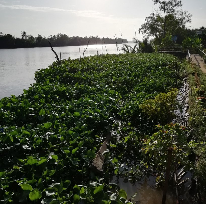 Hong Thai Homestay主图