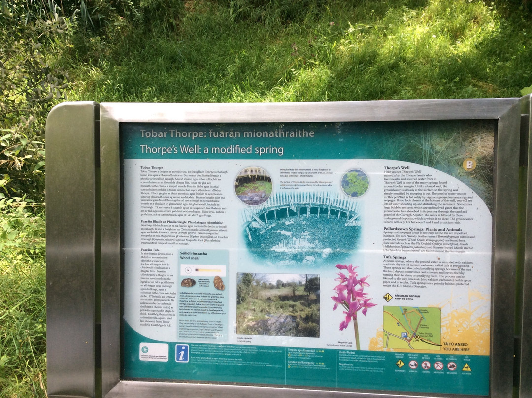 Pollardstown Fen Nature Reserve-Newbridge必去景点