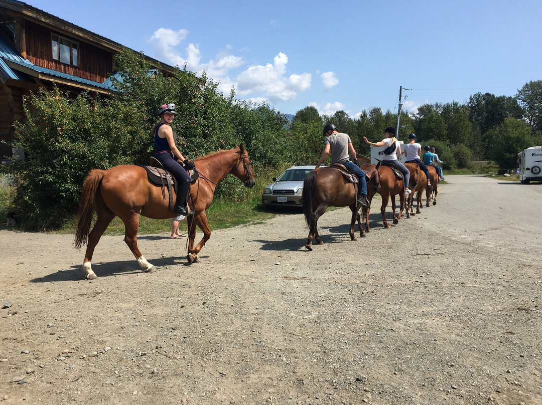 Adventure on Horseback-Pemberton必去景点