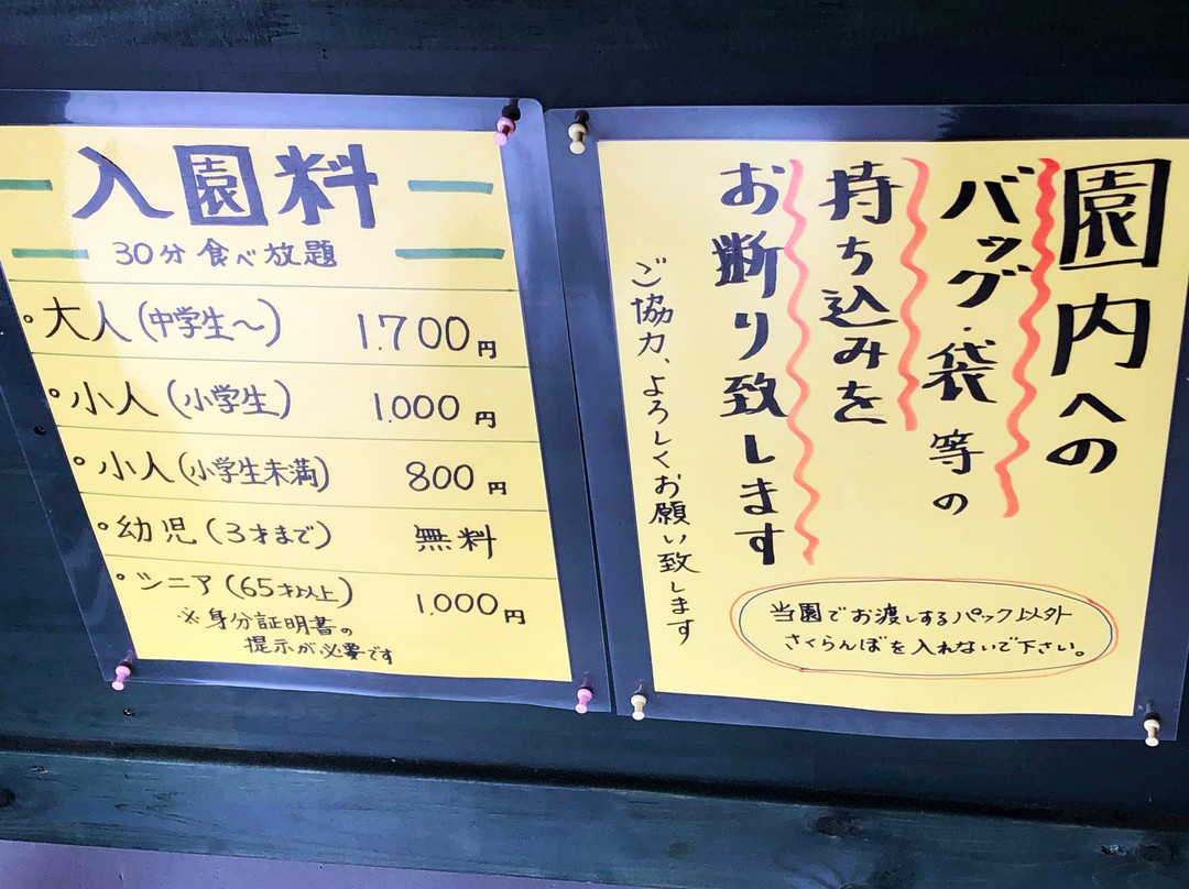 Komachi Orchards-沼田市必去景点