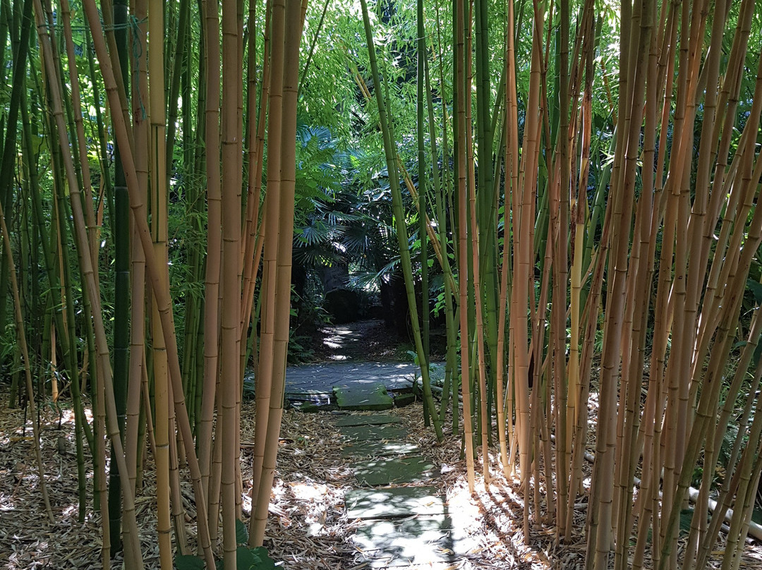Henstead Exotic Garden-Beccles必去景点