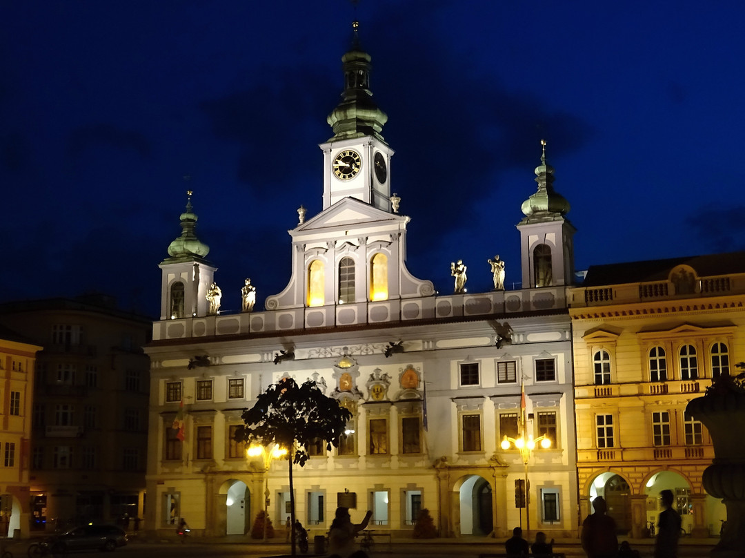 Town Hall (Radnice)景点图片