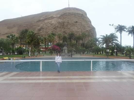 Vicuna Mackenna Park-阿里卡必去景点