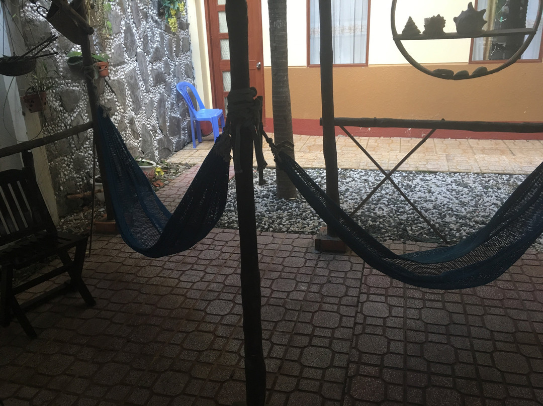 绿洲大酒店主图